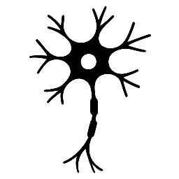DESIGN NEUROCONSCIENTE